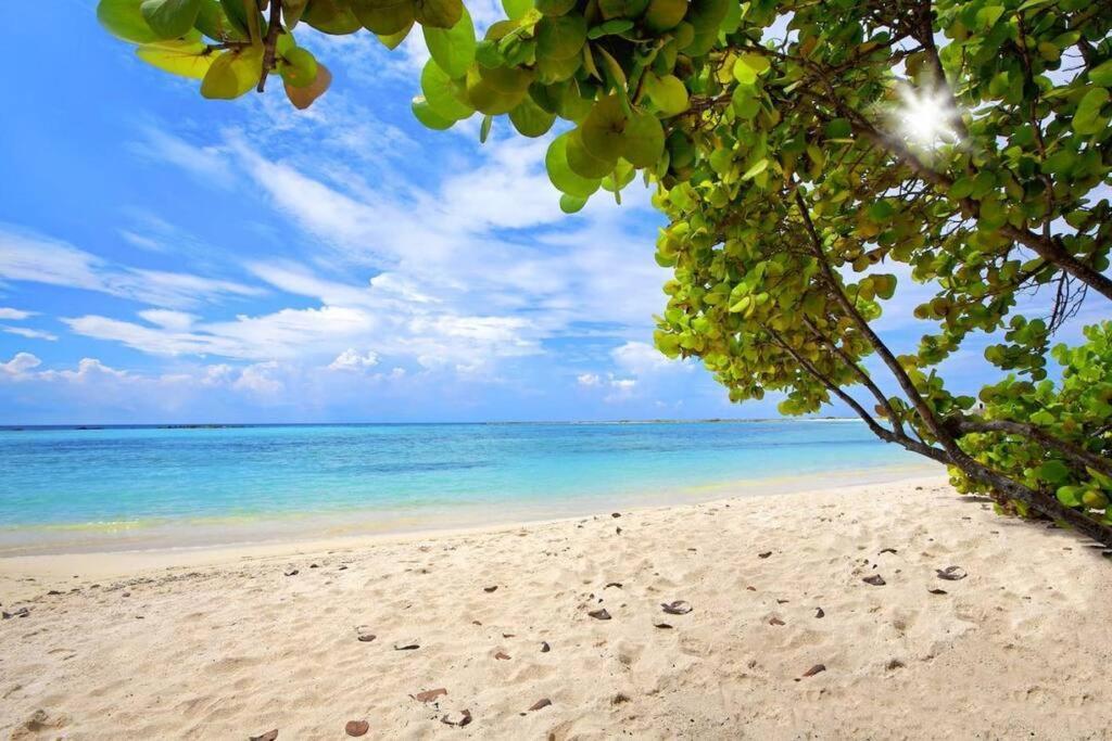 Cozy 1-Bedroom Apartment Minutes Away Drive To Mangel Halto Beach Savaneta Buitenkant foto
